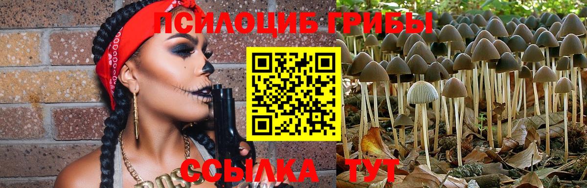 Галлюциногенные грибы мухоморы Борзя